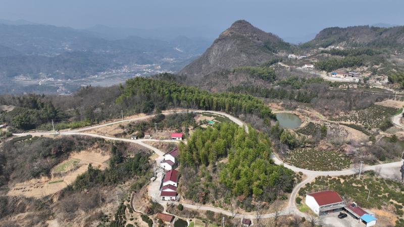 曉天鎮：蒿香四溢小山村